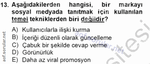 Soru 13
