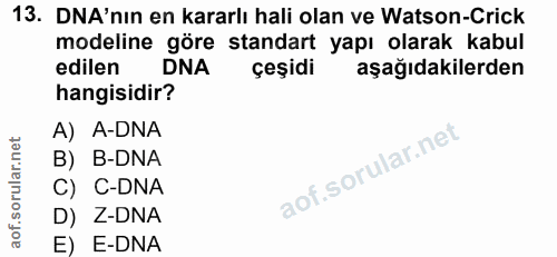 Soru 13