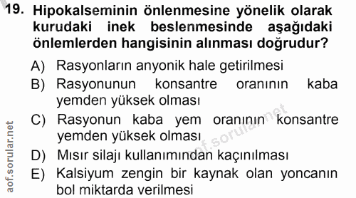 Soru 19