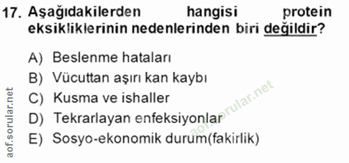 Soru 17