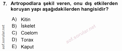 Soru 7