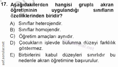 Soru 17