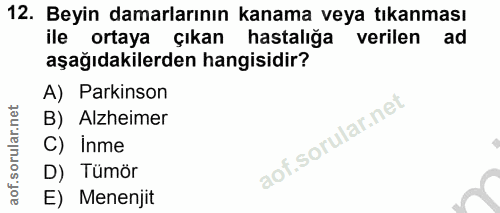 Soru 12