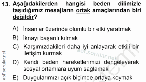 Soru 13