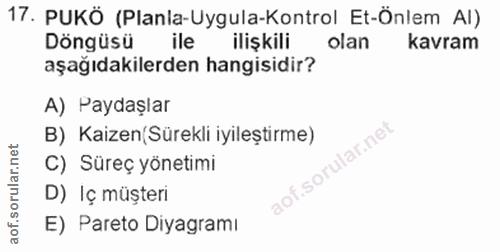 Soru 17