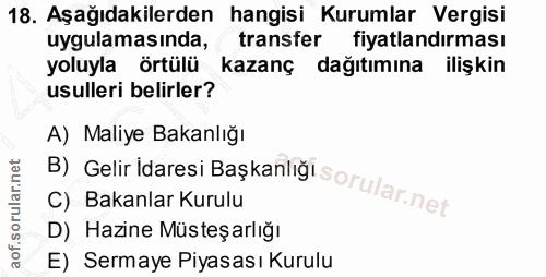 Soru 18
