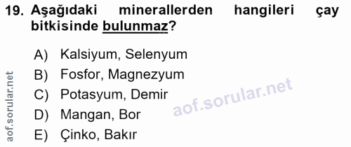 Soru 19