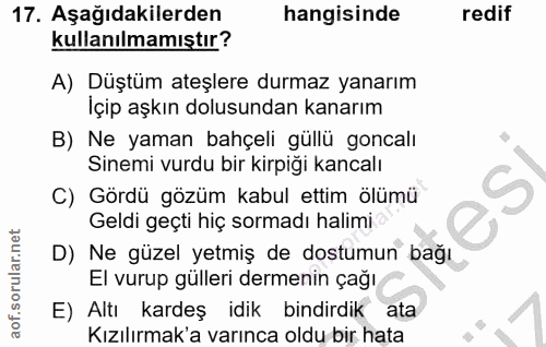 Soru 17