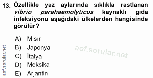 Soru 13