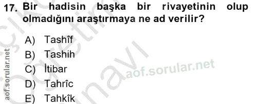 Soru 17