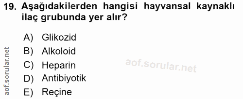 Soru 19
