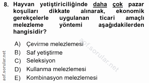 Soru 8