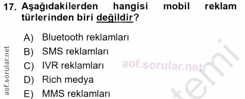 Soru 17
