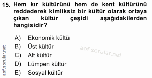 Soru 15