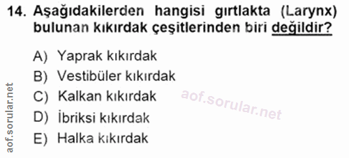 Soru 14