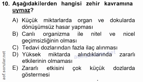 Soru 10