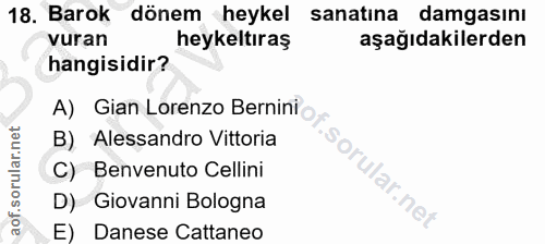 Soru 18