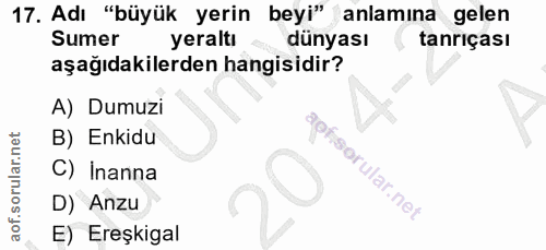 Soru 17