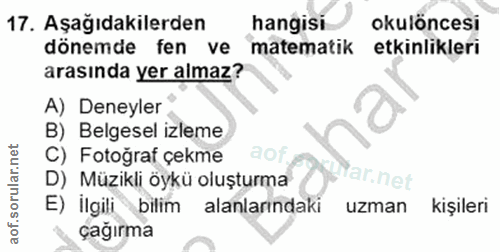 Soru 17