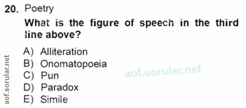 Soru 20
