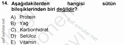 Soru 14