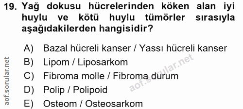 Soru 19