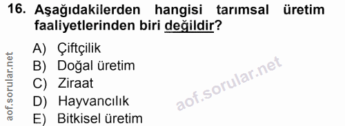 Soru 16