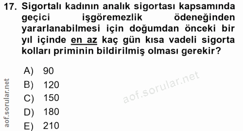 Soru 17