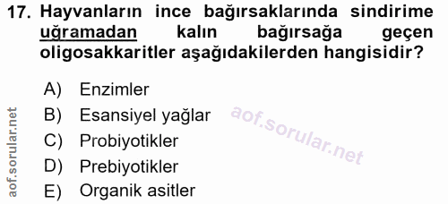 Soru 17