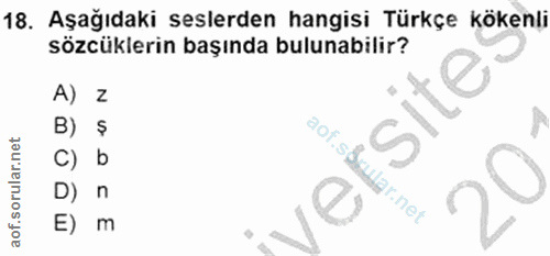 Soru 18