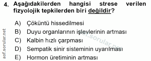 Soru 4