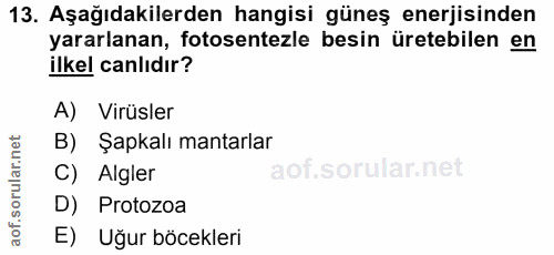 Soru 13