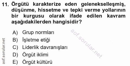 Soru 11