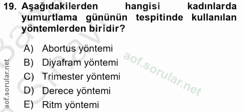 Soru 19