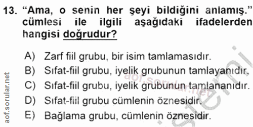 Soru 13