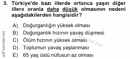 Soru 3