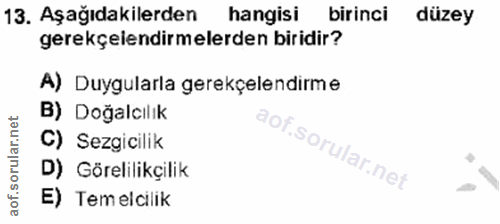 Soru 13