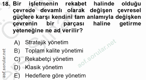 Soru 18