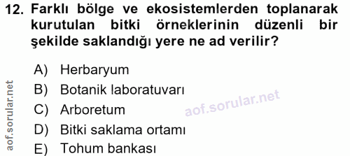 Soru 12