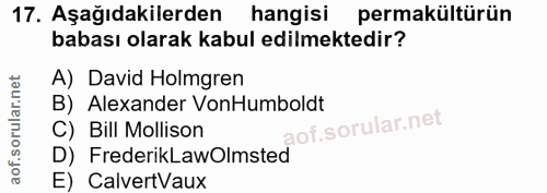 Soru 17