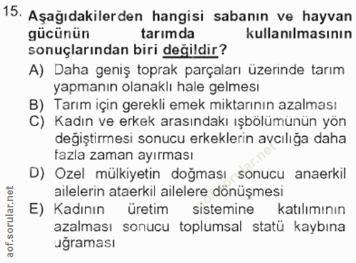 Soru 15