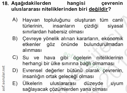 Soru 18