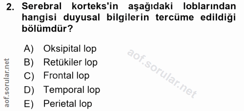 Soru 2
