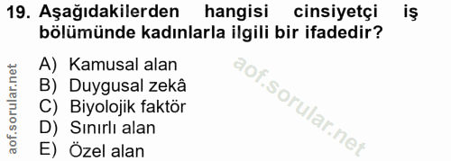 Soru 19