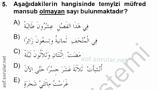 Soru 5