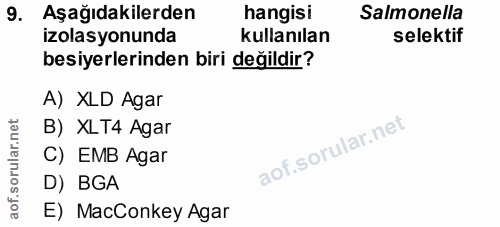 Soru 9
