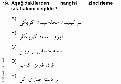 Soru 19