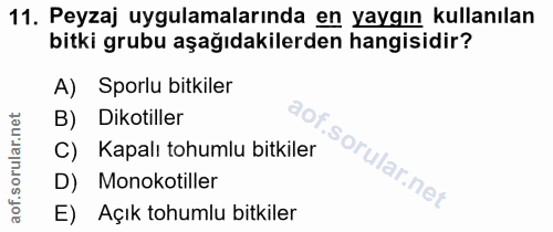 Soru 11