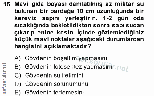Soru 15