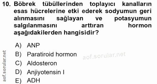 Soru 10